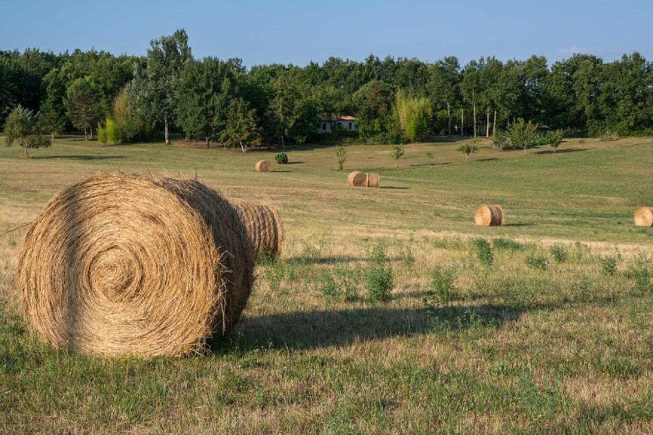 Hébergement de vacances Le P'tit Bassoul Ouvert Toute L'année Cenevieres